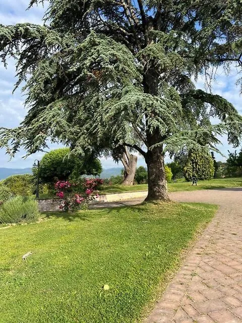 Il Nido Apartment Barberino di Mugello